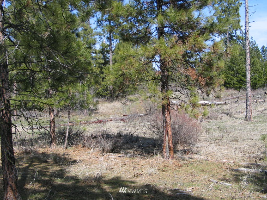 1 Owl Ridge Drive Cle Elum, WA 98922 - Photo 5 of 8 Gallery Image 5