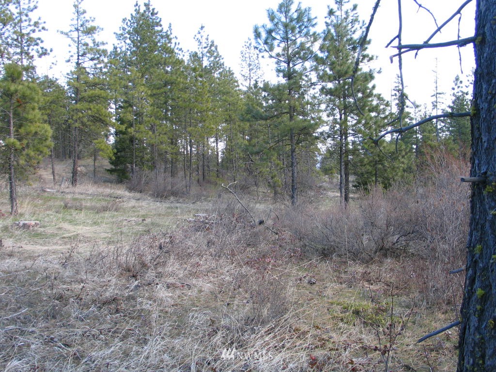 1 Owl Ridge Drive Cle Elum, WA 98922 - Photo 7 of 8 Gallery Image 7