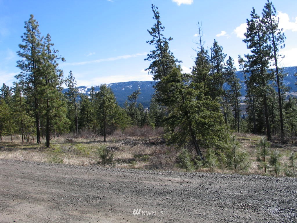 1 Owl Ridge Drive Cle Elum, WA 98922 - Photo 8 of 8 Gallery Image 8
