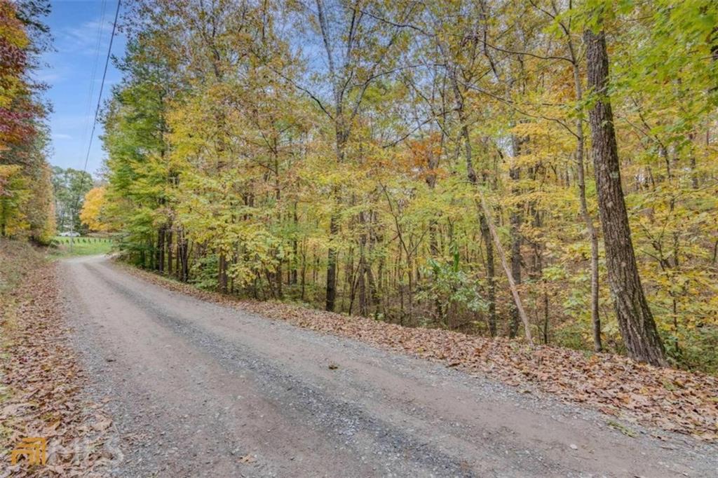 a view of a road with a trees