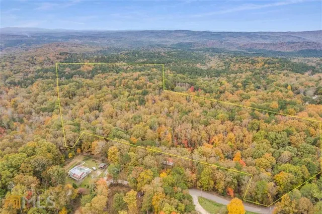 a view of a city with lush green forest