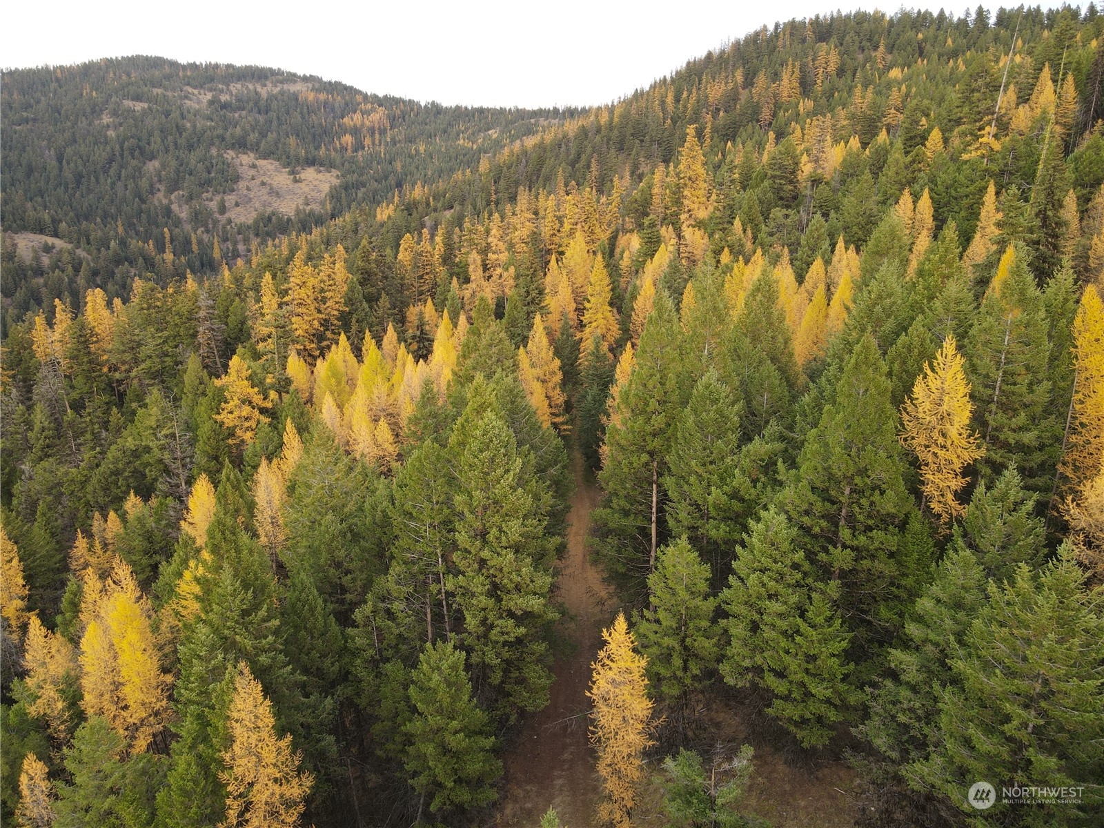 190 Wapato Road Oroville, WA 98844 - Photo 3 of 18 a view of mountain with trees