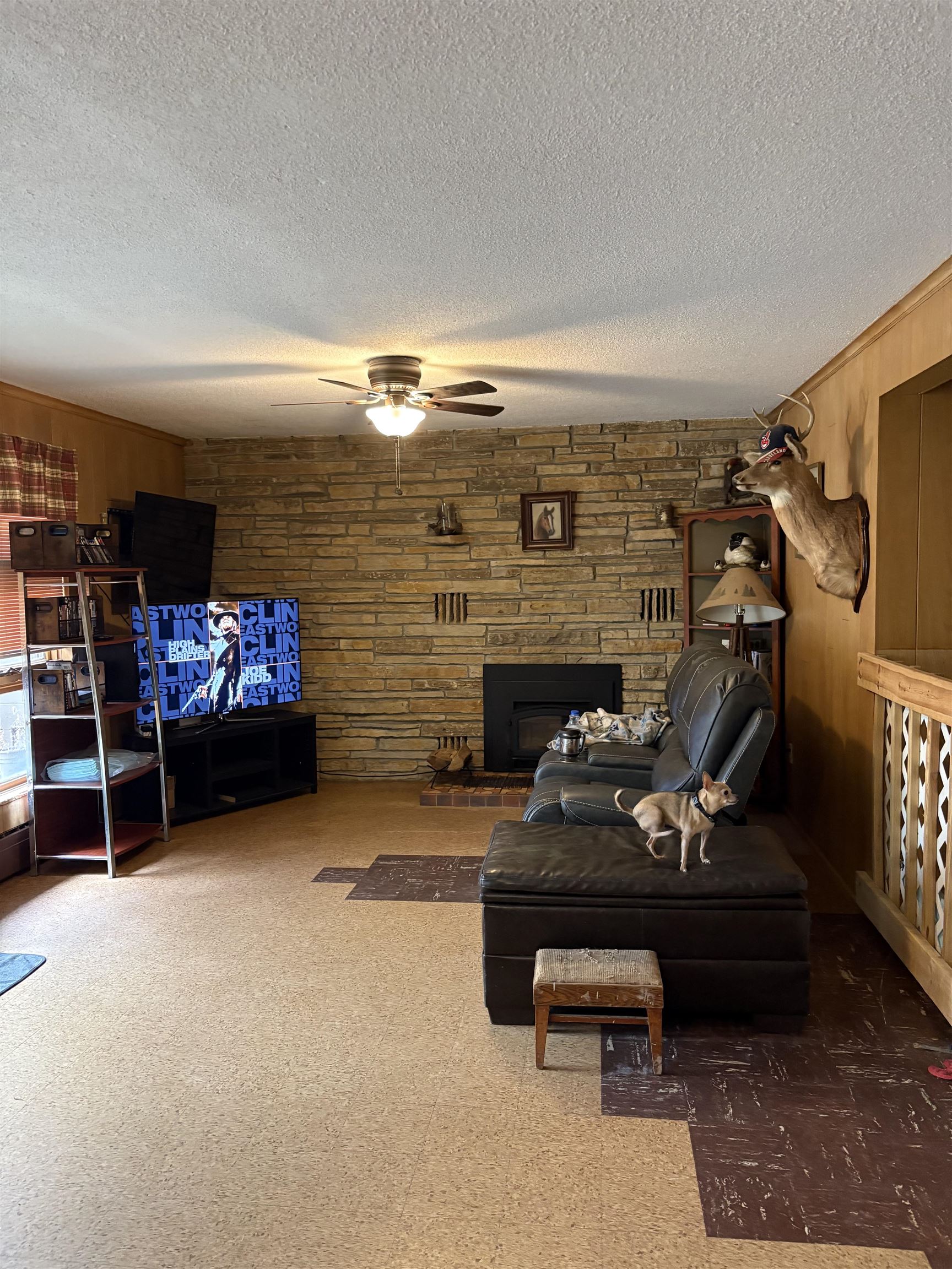 218 High Street Waupaca, WI 54981 - Photo 14 of 16