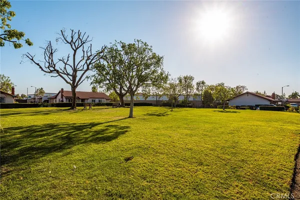 a view of an ocean with trees