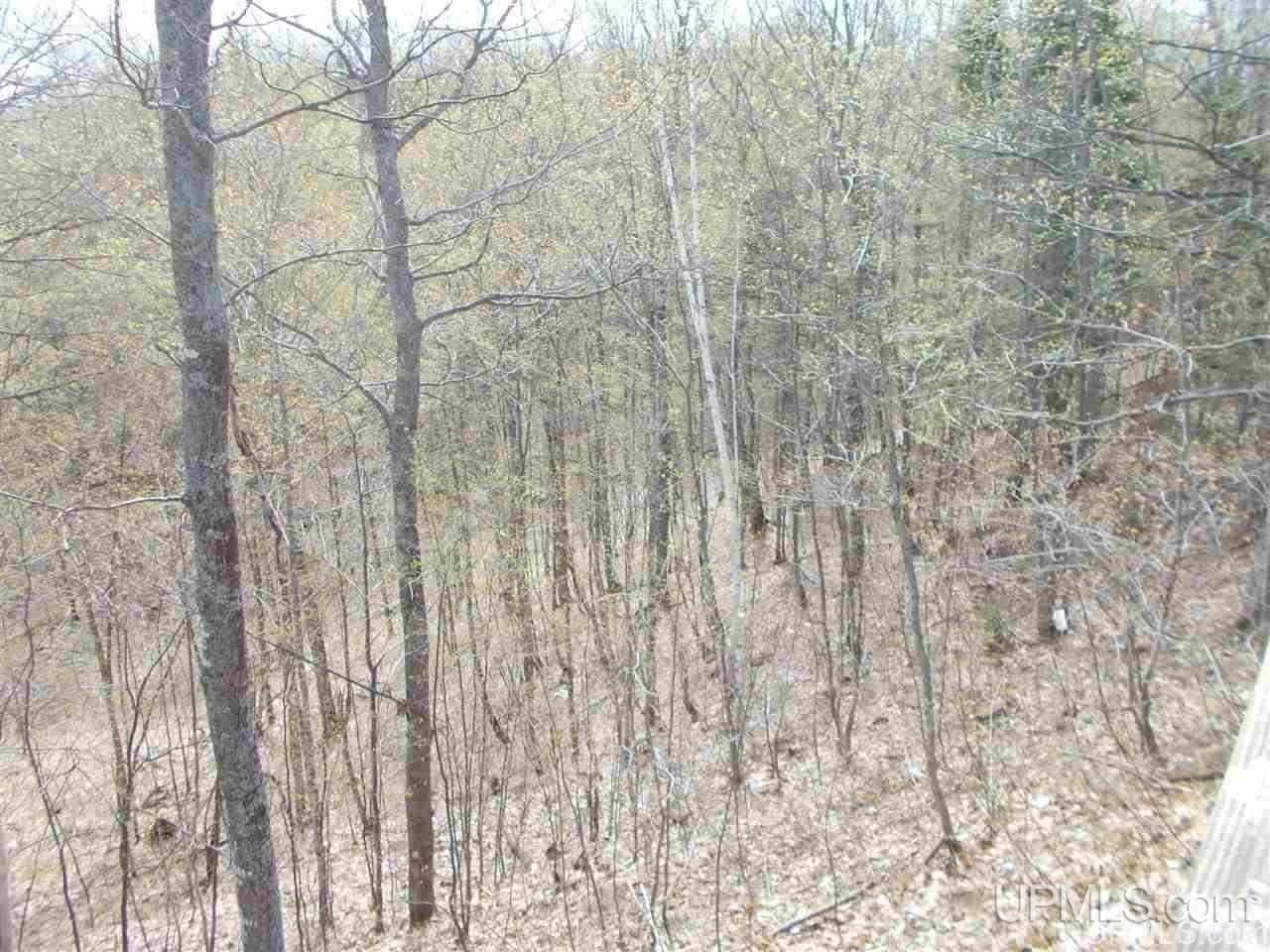 80-acres Triple A Road Ishpeming, MI 49849 - Photo 23 of 28