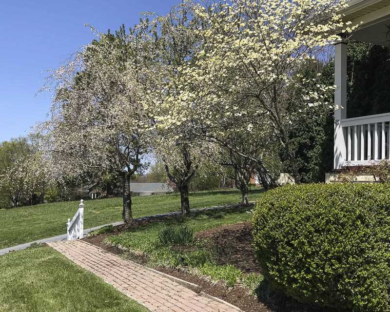 115 Betts Road Harrisonburg, VA 22802 - Photo 23 of 48 Gallery Image 23