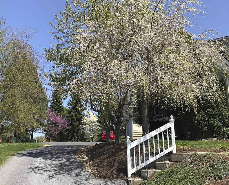 115 Betts Road Harrisonburg, VA 22802 - Photo 47 of 48 Gallery Image 47