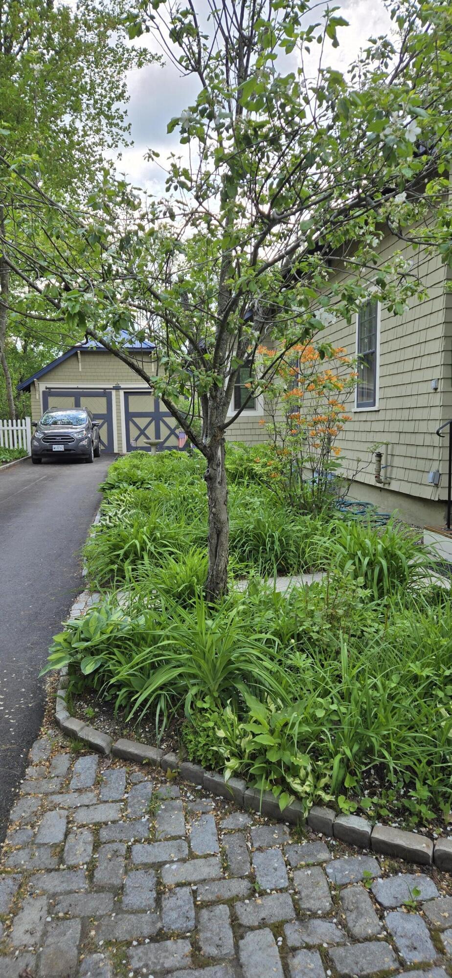 53 Portland Road Bridgton, ME 04009 - Photo 78 of 85 20260527_154130