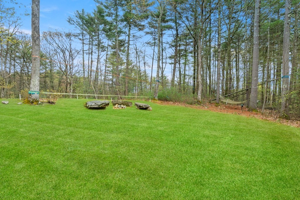 62 Buffam Road Pelham, MA 01002 - Photo 42 of 42 a view of a park with large trees