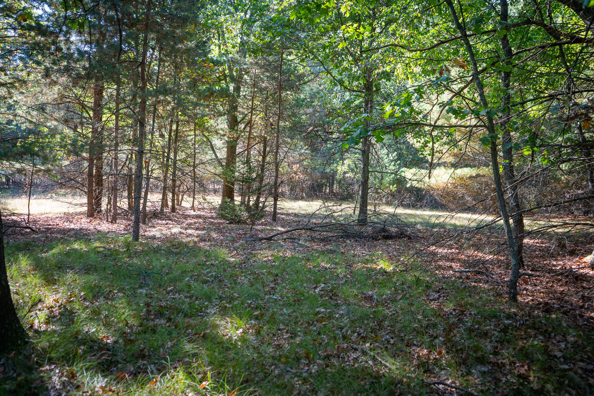 V/l Whitbeck Road Montague, MI 49437 - Photo 14 of 29 DSC07334