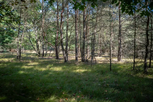 $499,900 | V/l Whitbeck Road, Montague, MI 49437