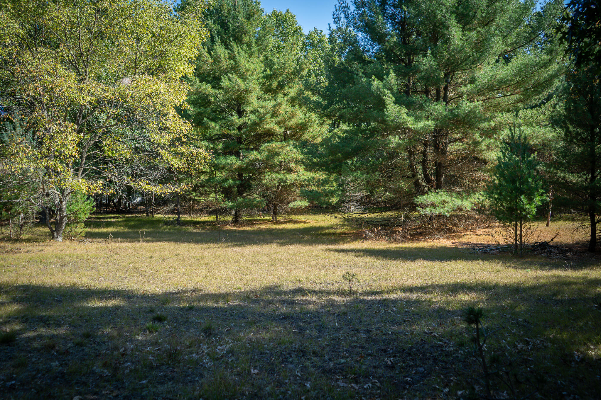 V/l Whitbeck Road Montague, MI 49437 - Photo 18 of 29 DSC07339