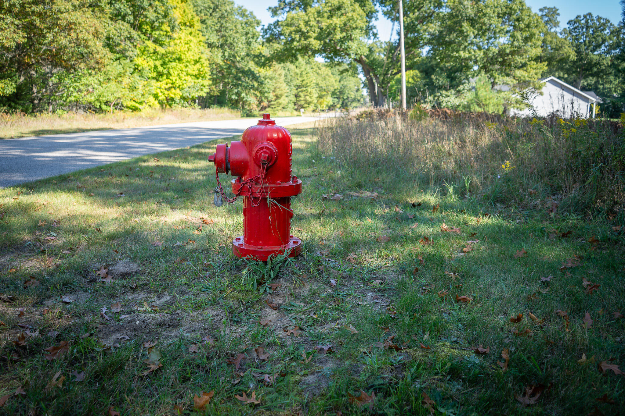 V/l Whitbeck Road Montague, MI 49437 - Photo 24 of 29 DSC07344