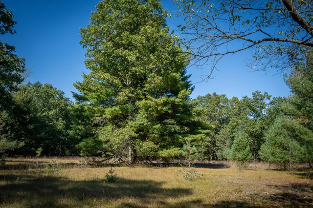 $499,900 | V/l Whitbeck Road, Montague, MI 49437