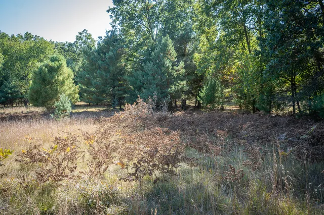 $499,900 | V/l Whitbeck Road, Montague, MI 49437