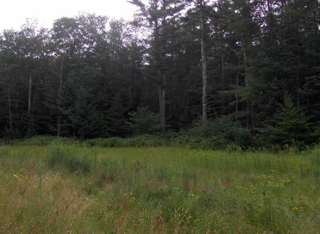 234 Bears Den Road Wells, ME 04090 - Photo 5 of 10 Build-able 2.5 acre lot
