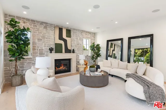 a living room with furniture potted plant and a fireplace