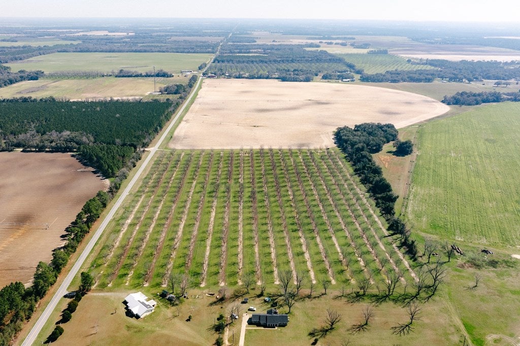 28.31-ac 28.31-ac County Line Road Camilla, GA 31730 - Photo 14 of 15 Gallery Image 14