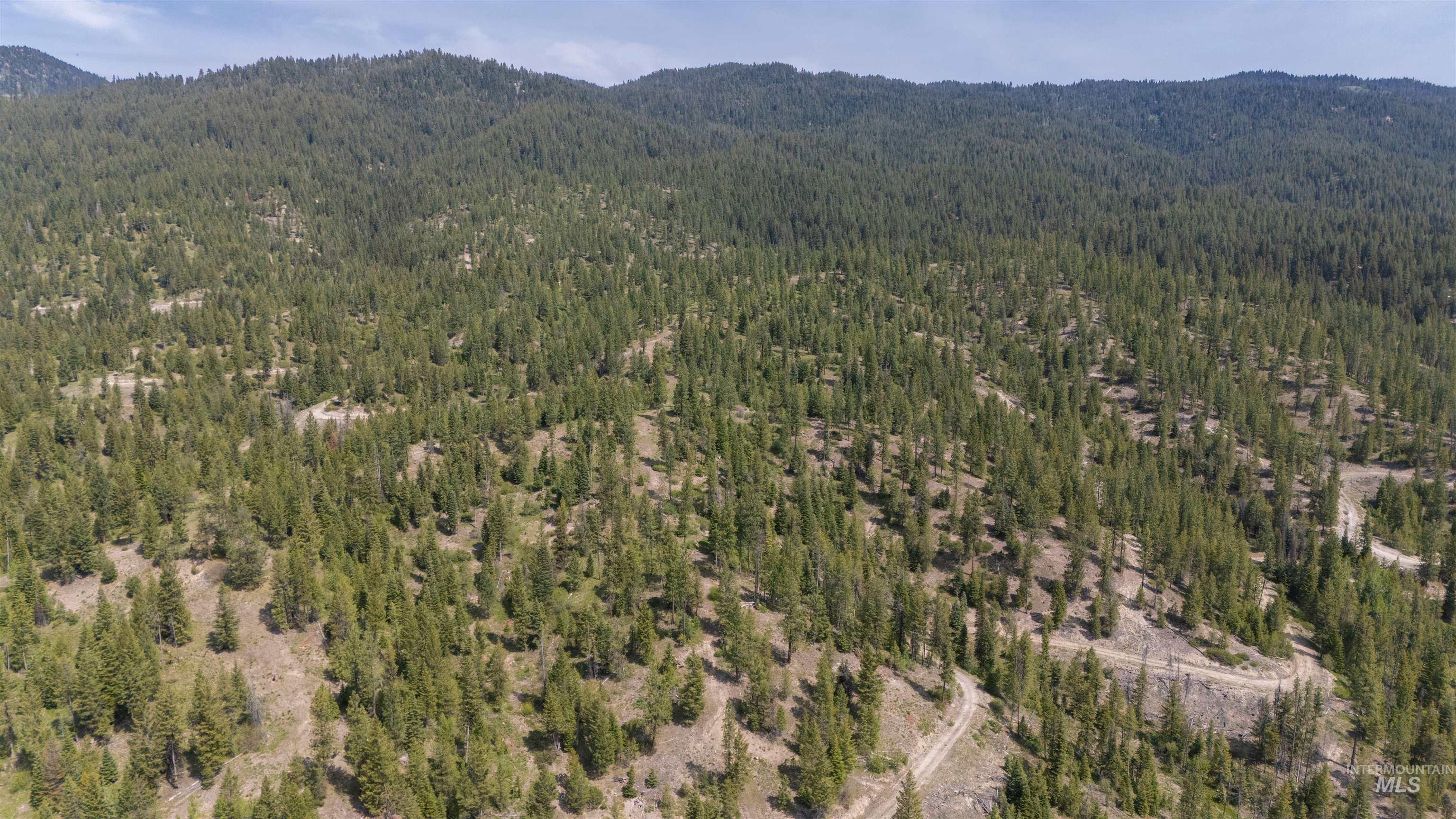 4 Warm Lake Road Cascade, ID 83611 - Photo 4 of 8 Aerial overview of property's location featuring a forest and mountains