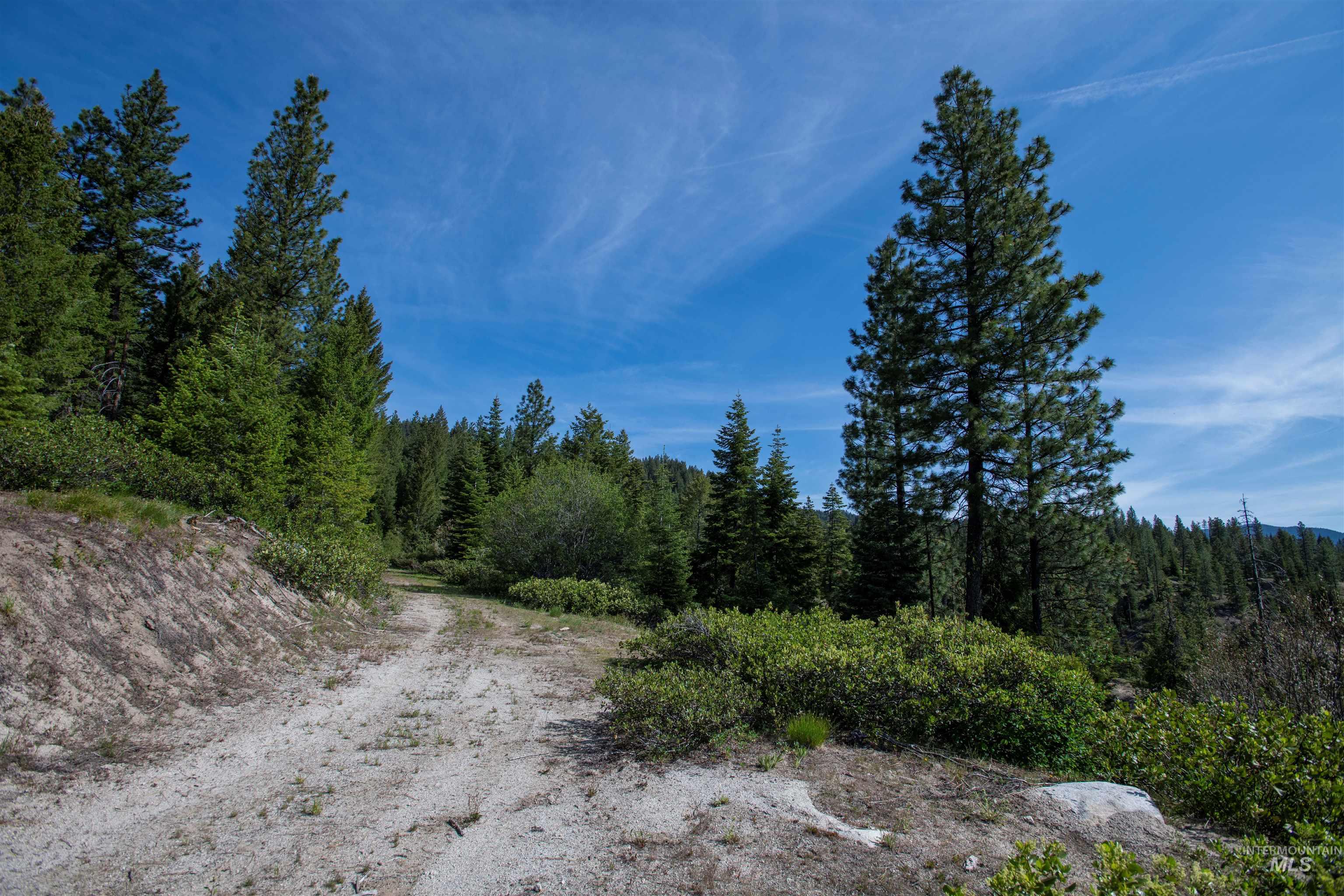 4 Warm Lake Road Cascade, ID 83611 - Photo 6 of 8 View of road with a wooded view
