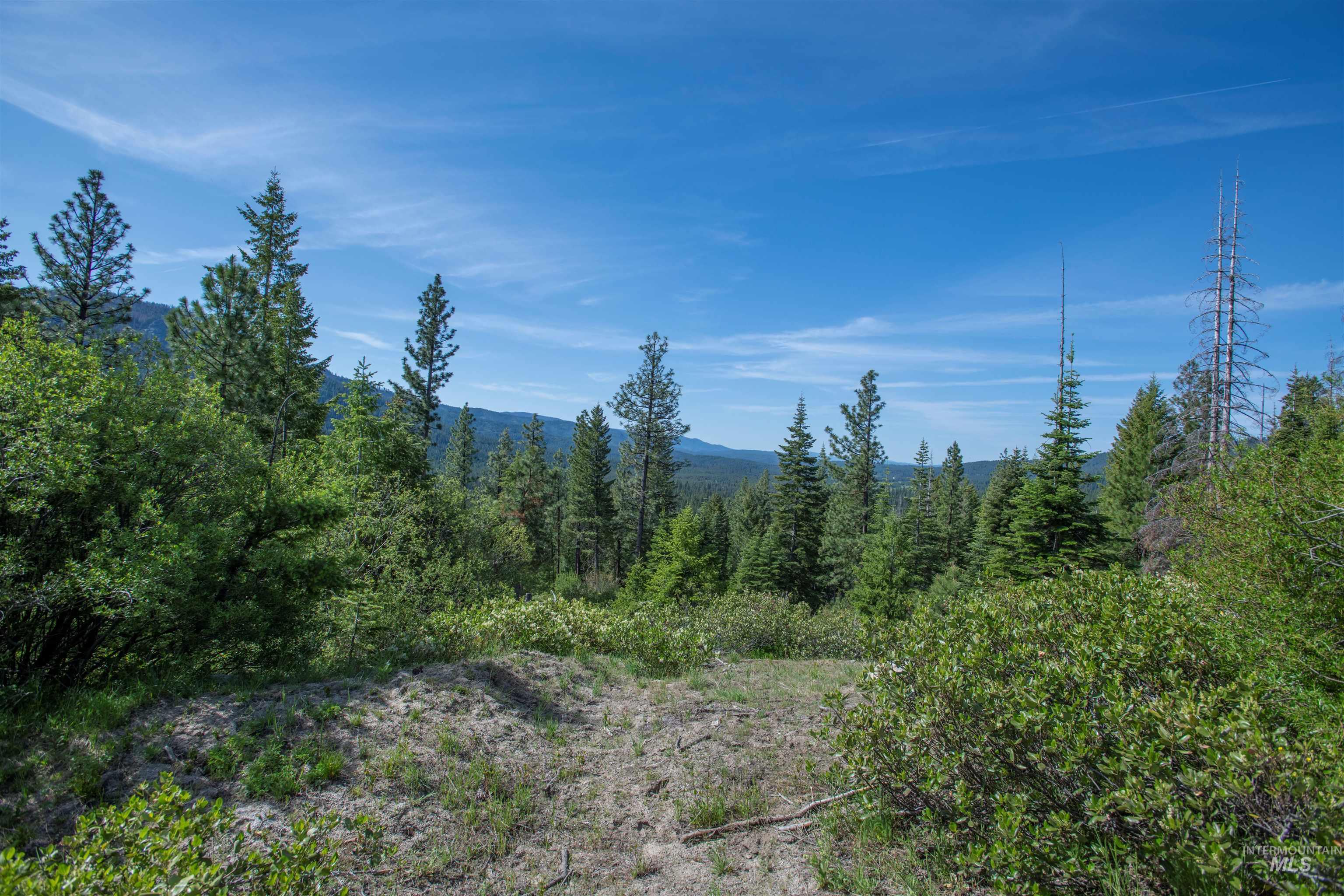 4 Warm Lake Road Cascade, ID 83611 - Photo 7 of 8 View of mountain backdrop with a heavily wooded area