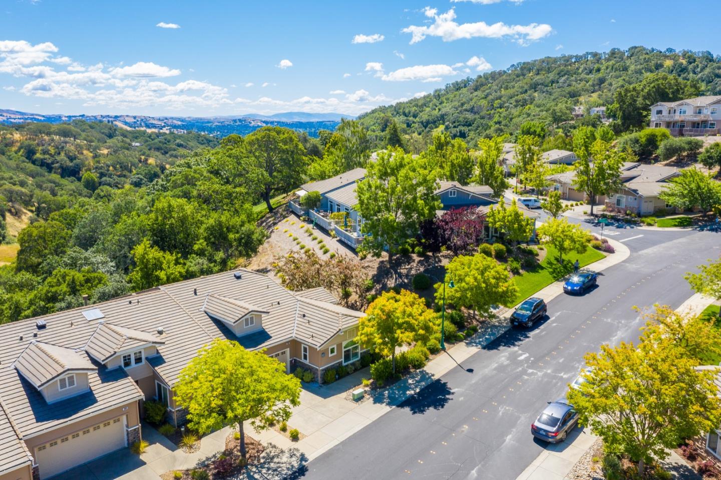 3066 Grey Eagle Drive Walnut Creek, CA 94595 - Photo 36 of 47 a view of a house with a yard and garden