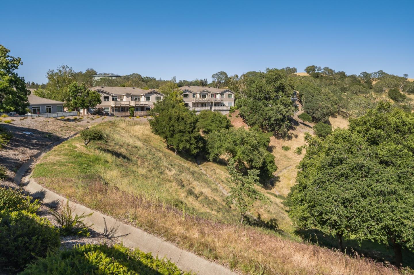3066 Grey Eagle Drive Walnut Creek, CA 94595 - Photo 45 of 47 a view of a yard