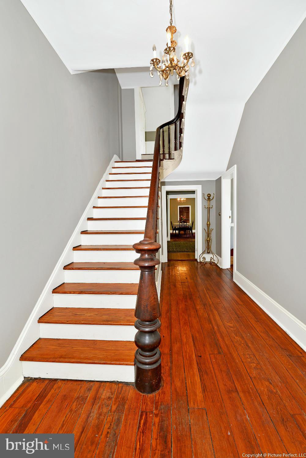 11 West 2nd Street Frederick, MD 21701 - Photo 6 of 28 Interior (General)