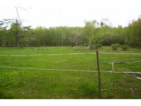 168 Four Rod Road Rochester, NH 03867 - Photo 2 of 3