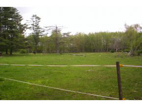 168 Four Rod Road Rochester, NH 03867 - Photo 3 of 3