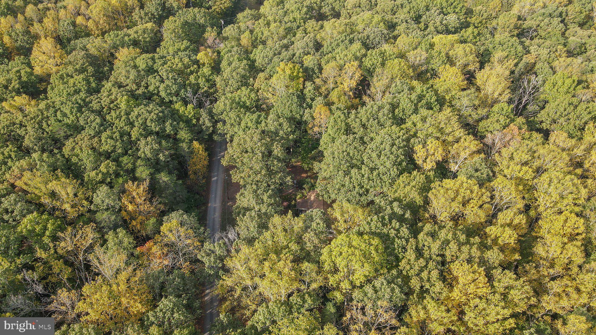 4194 Goldmine Road Goldvein, VA 22720 - Photo 11 of 19 Gallery Image 11