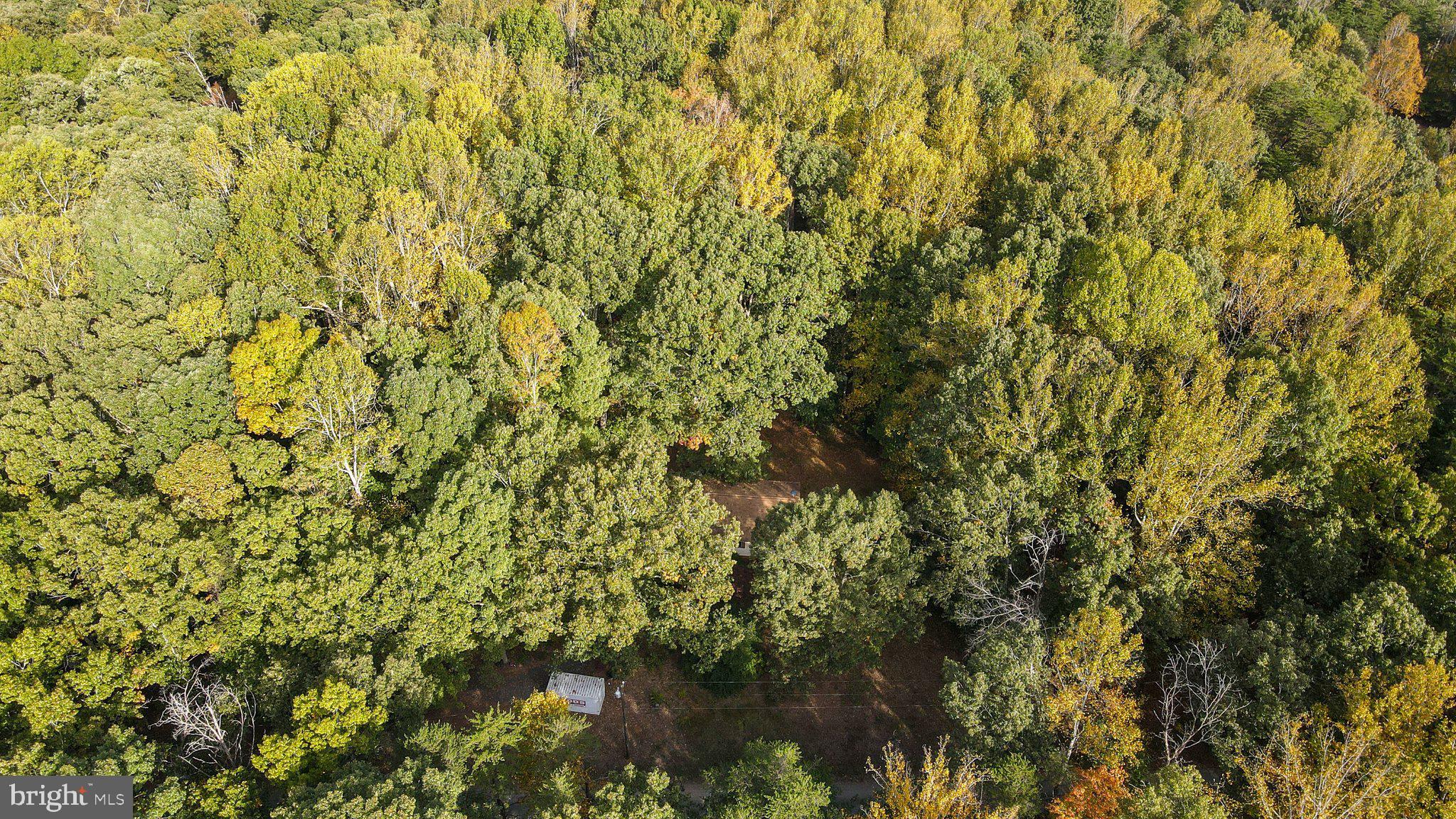 4194 Goldmine Road Goldvein, VA 22720 - Photo 14 of 19 Gallery Image 14