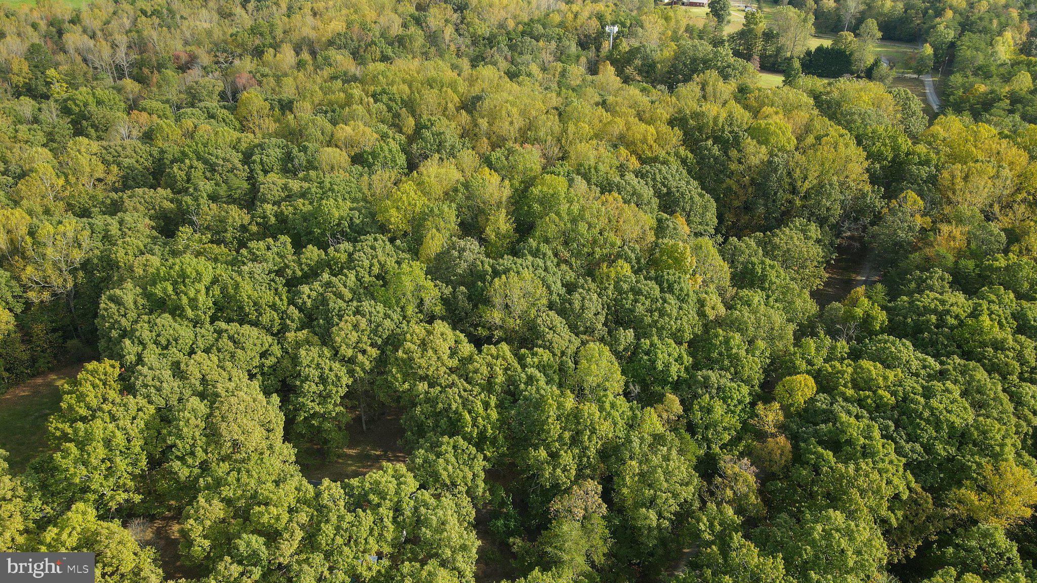 4194 Goldmine Road Goldvein, VA 22720 - Photo 15 of 19 Gallery Image 15