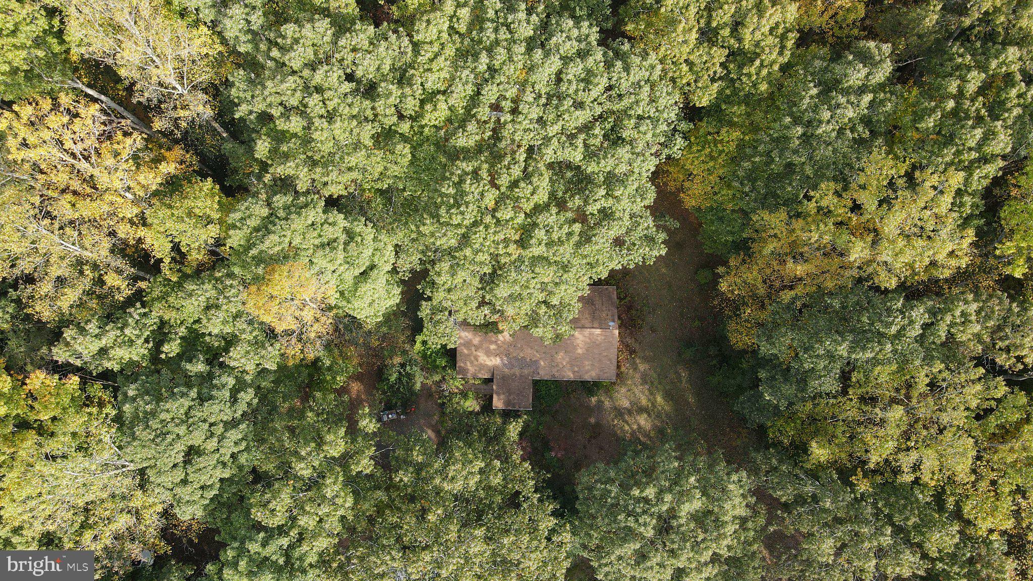 4194 Goldmine Road Goldvein, VA 22720 - Photo 4 of 19 Gallery Image 4