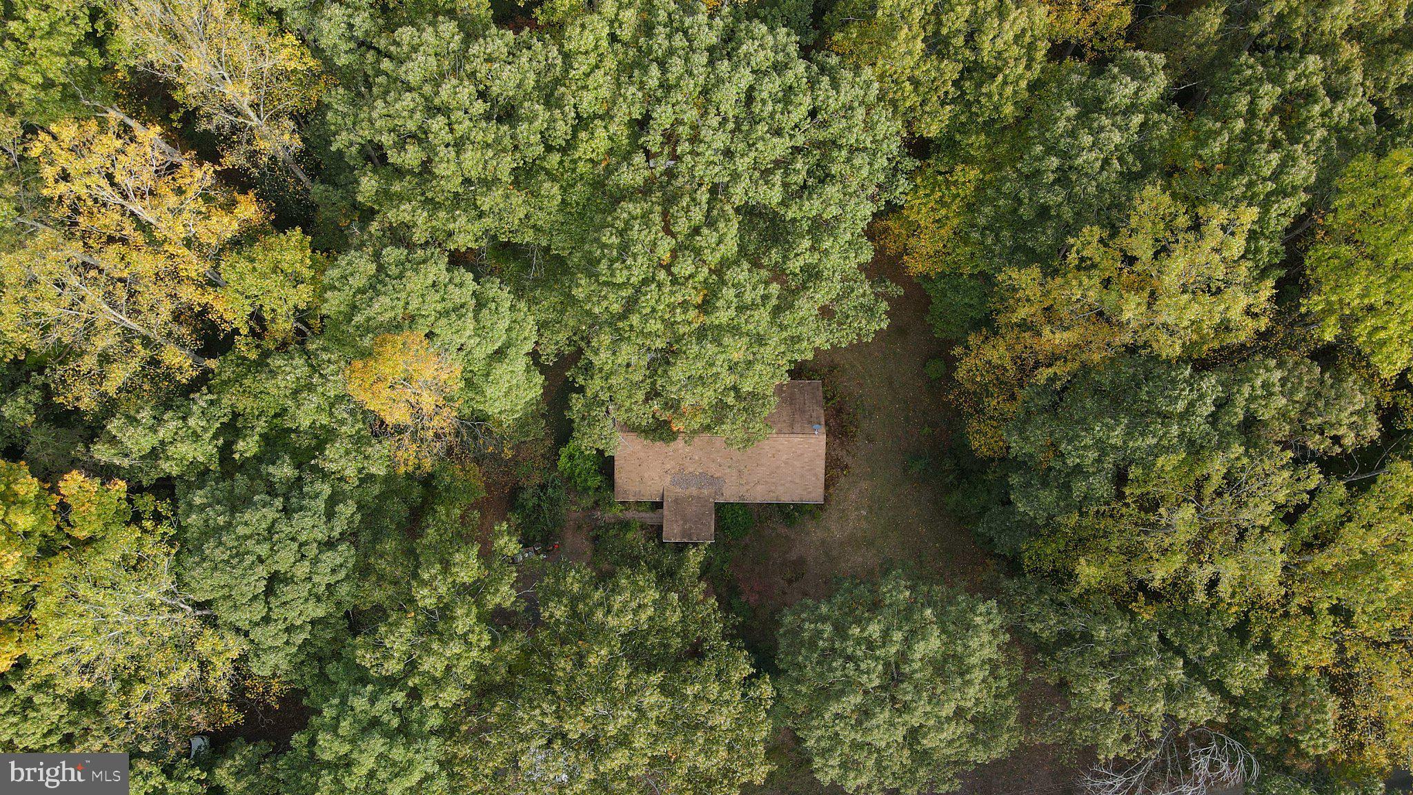 4194 Goldmine Road Goldvein, VA 22720 - Photo 5 of 19 Gallery Image 5