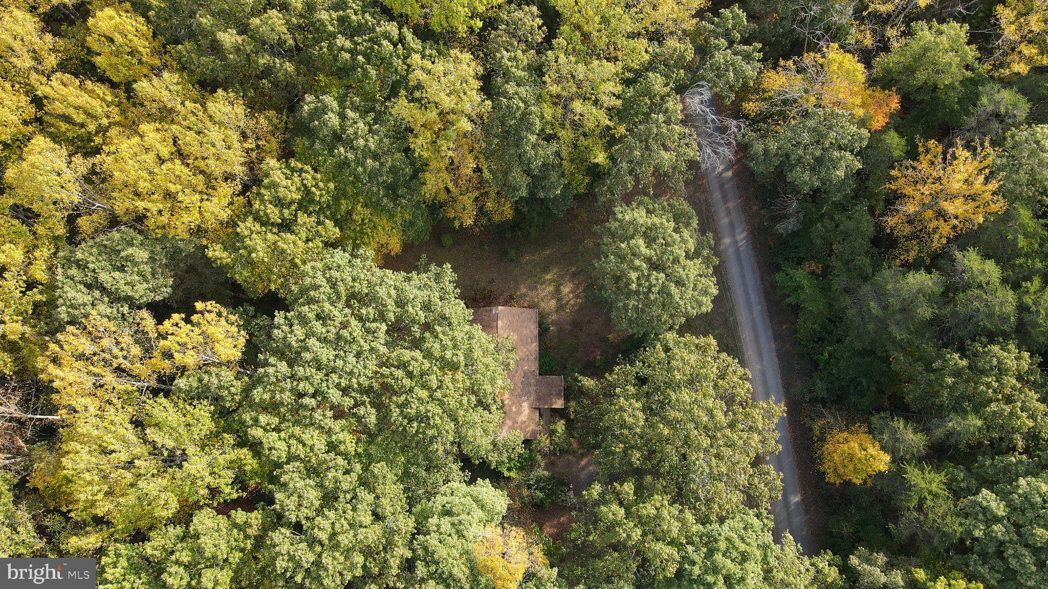 4194 Goldmine Road Goldvein, VA 22720 - Photo 7 of 19 Gallery Image 7