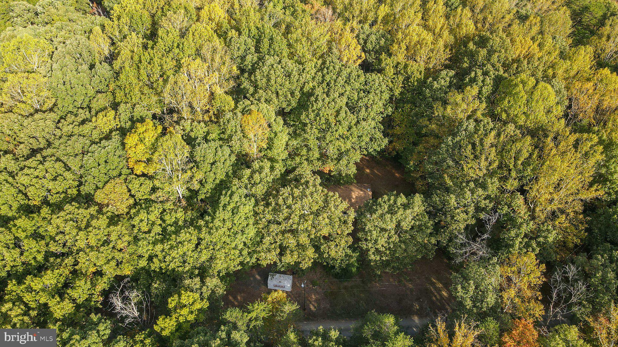 4194 Goldmine Road Goldvein, VA 22720 - Photo 8 of 19 Gallery Image 8