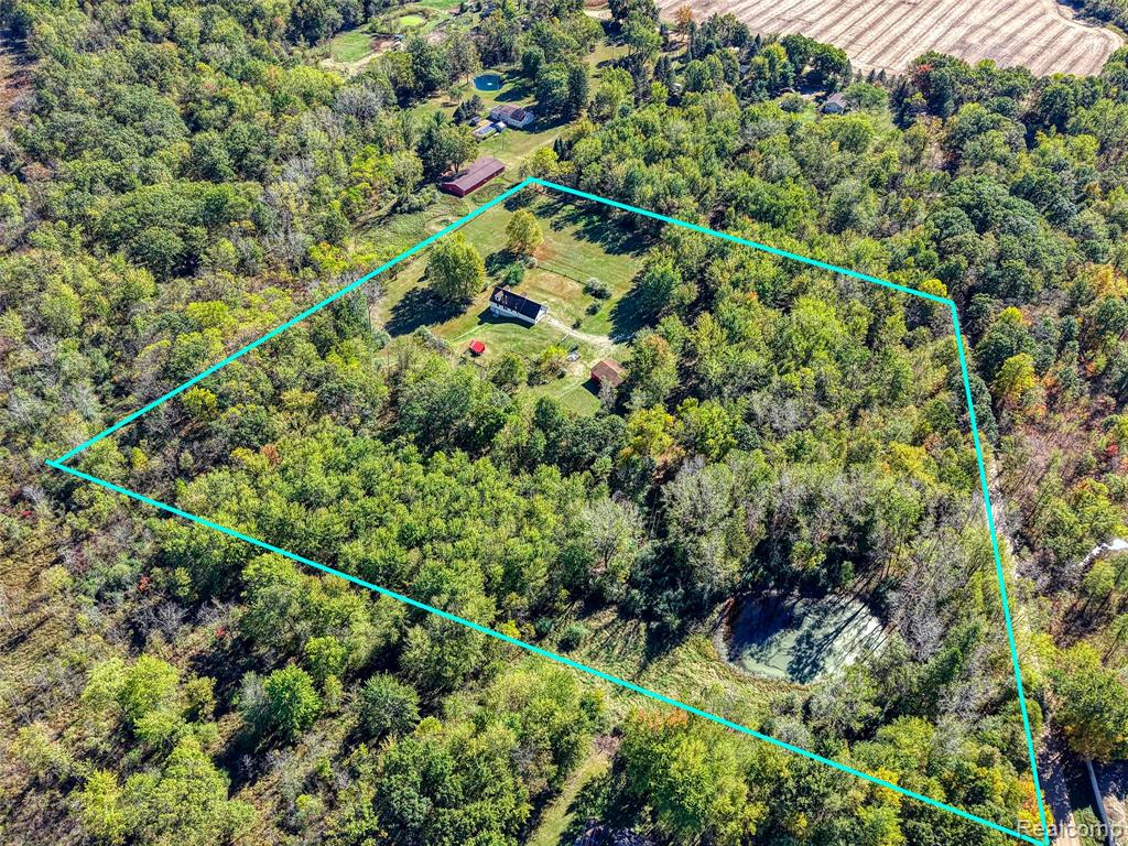 13201 Rockwell Road Stockbridge, MI 49285 - Photo 48 of 50
