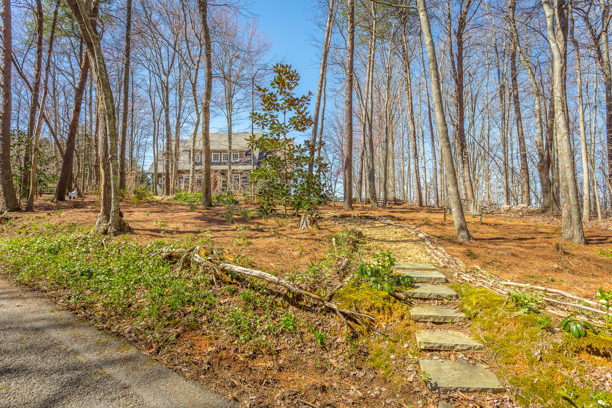 151 Brow Lake Road Lookout Mountain, GA 30750 - Photo 2 of 81 151 Brow Lake Road-74