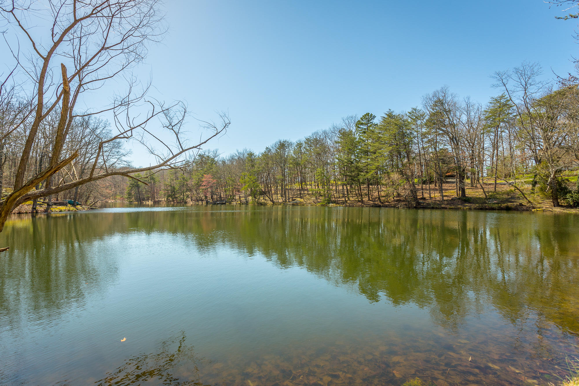 151 Brow Lake Road Lookout Mountain, GA 30750 - Photo 66 of 81 151 Brow Lake Road-157
