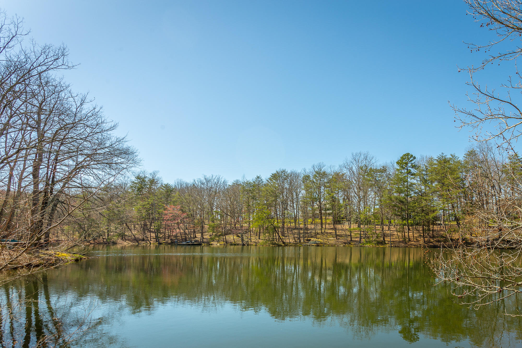 151 Brow Lake Road Lookout Mountain, GA 30750 - Photo 67 of 81 151 Brow Lake Road-158