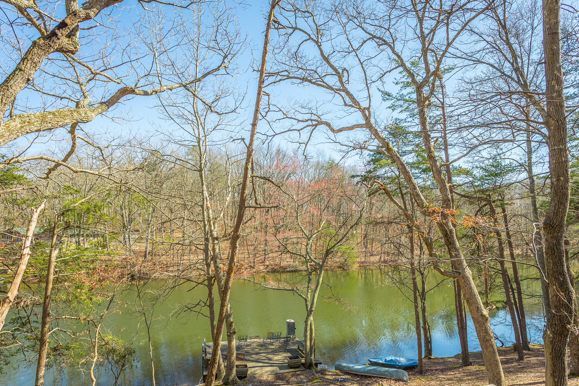 151 Brow Lake Road Lookout Mountain, GA 30750 - Photo 68 of 81 151 Brow Lake Road-160