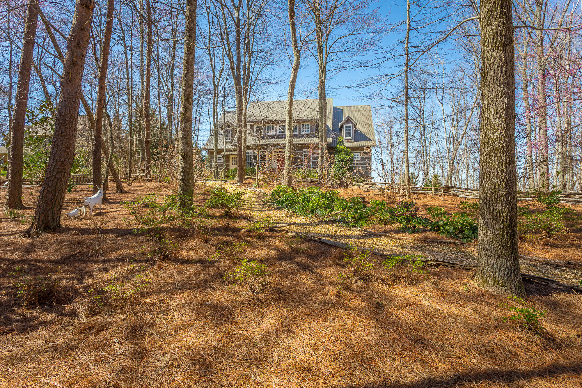 151 Brow Lake Road Lookout Mountain, GA 30750 - Photo 73 of 81 151 Brow Lake Road-75