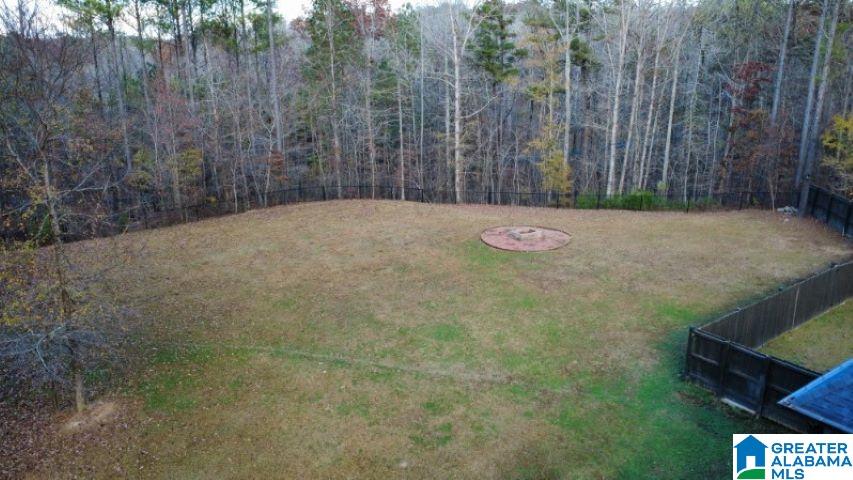 956 Blue Ridge Way Odenville, AL 35120 - Photo 61 of 62