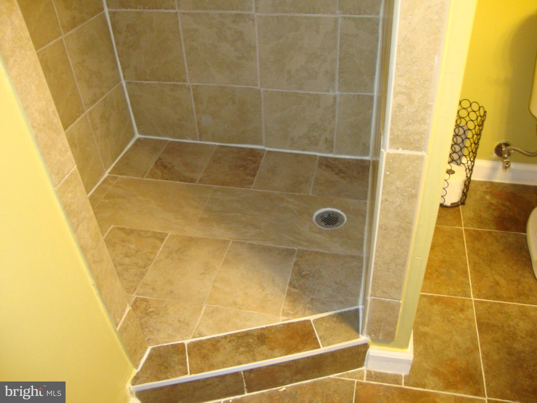 328 Laburnum Road Edgewood, MD 21040 - Photo 27 of 41 Lower level beautiful shower