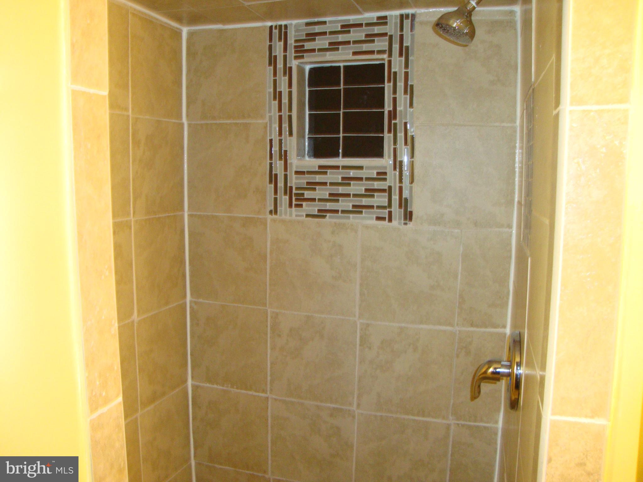 328 Laburnum Road Edgewood, MD 21040 - Photo 28 of 41 Lower level beautiful shower