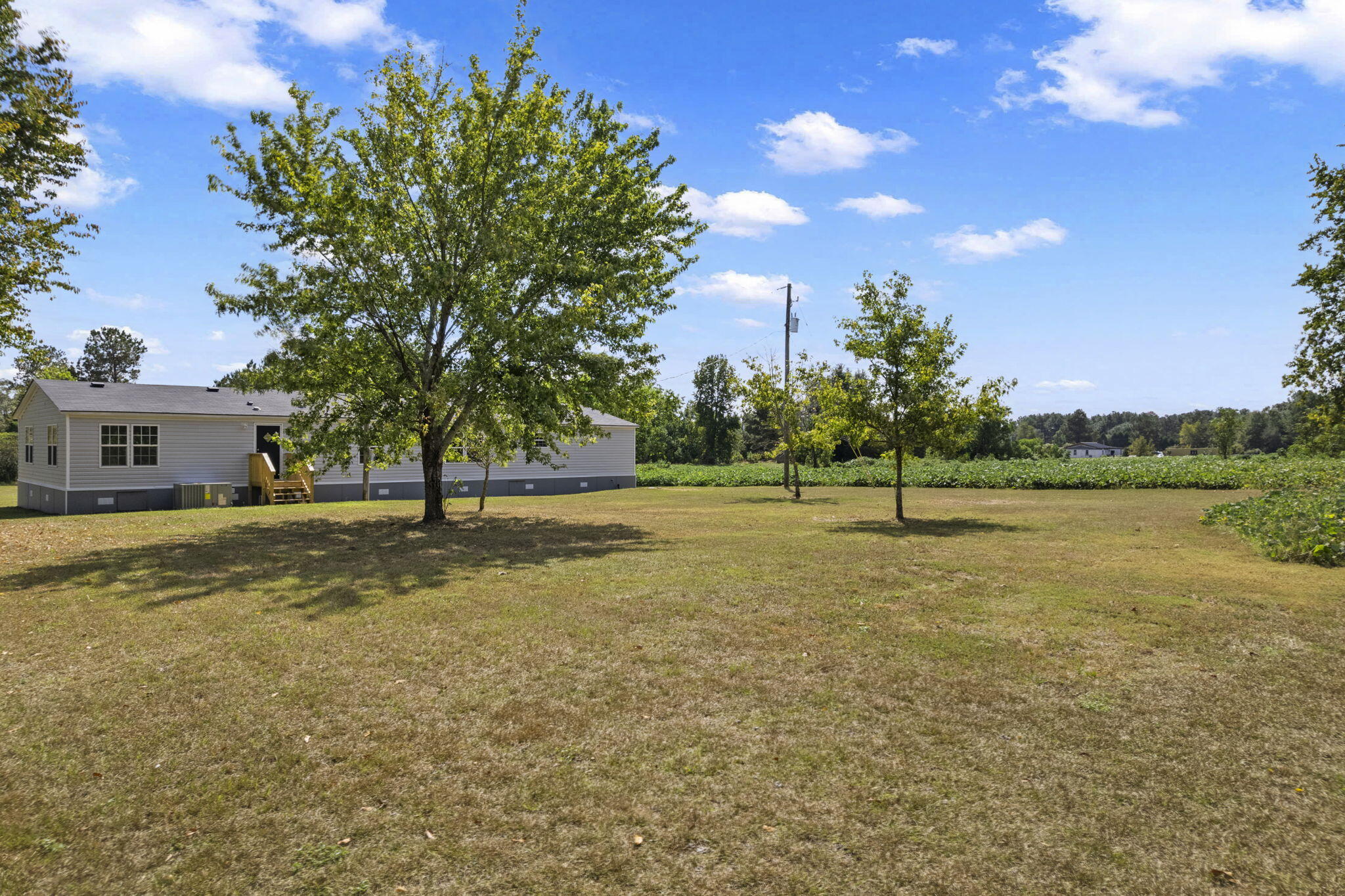 258 Rodeo Drive Eutawville, SC 29048 - Photo 9 of 57 7-web-or-mls-DJI_0420