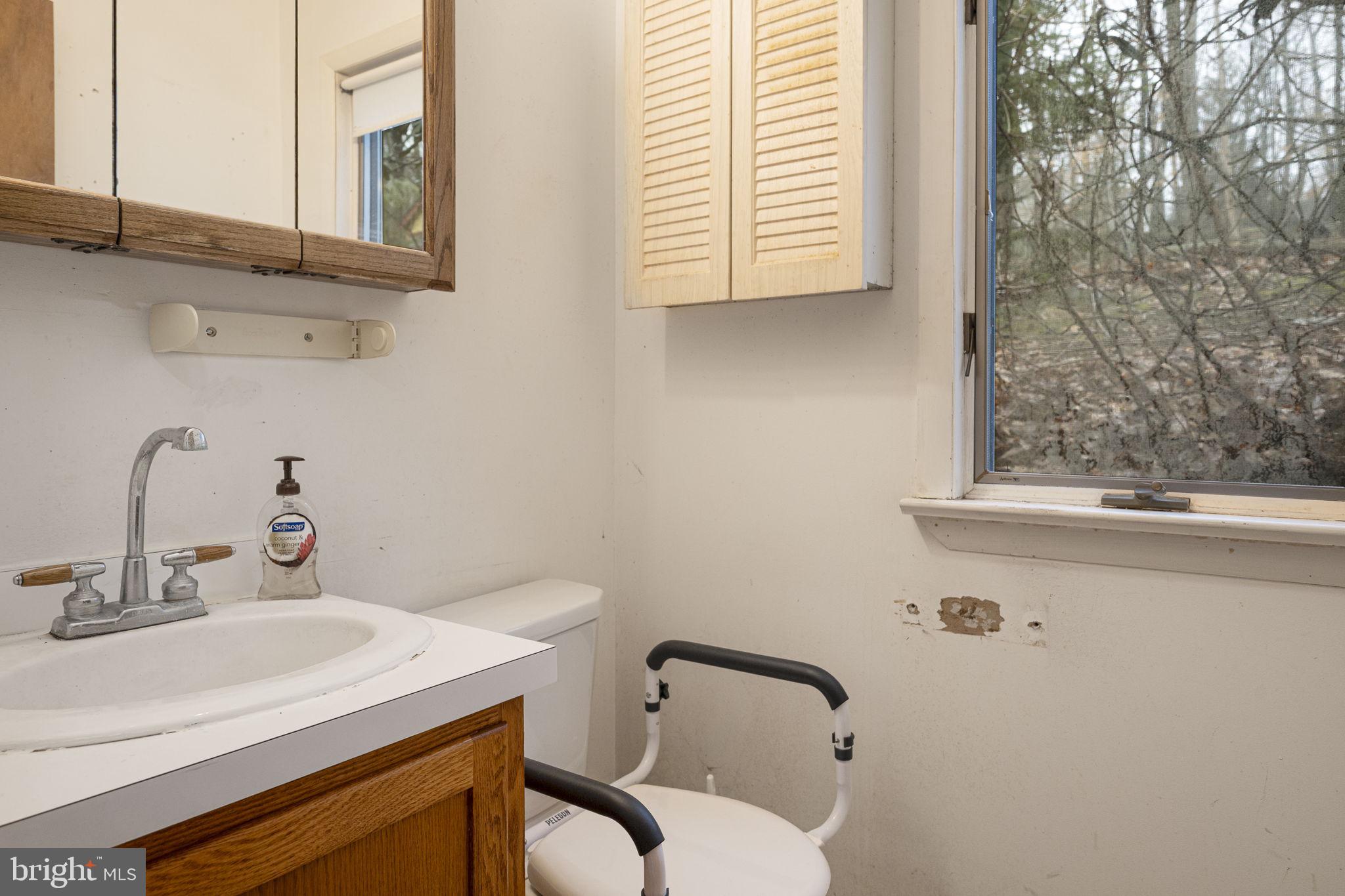 230 Jug Hollow Road Phoenixville, PA 19460 - Photo 18 of 60 a bathroom with a sink and a toilet
