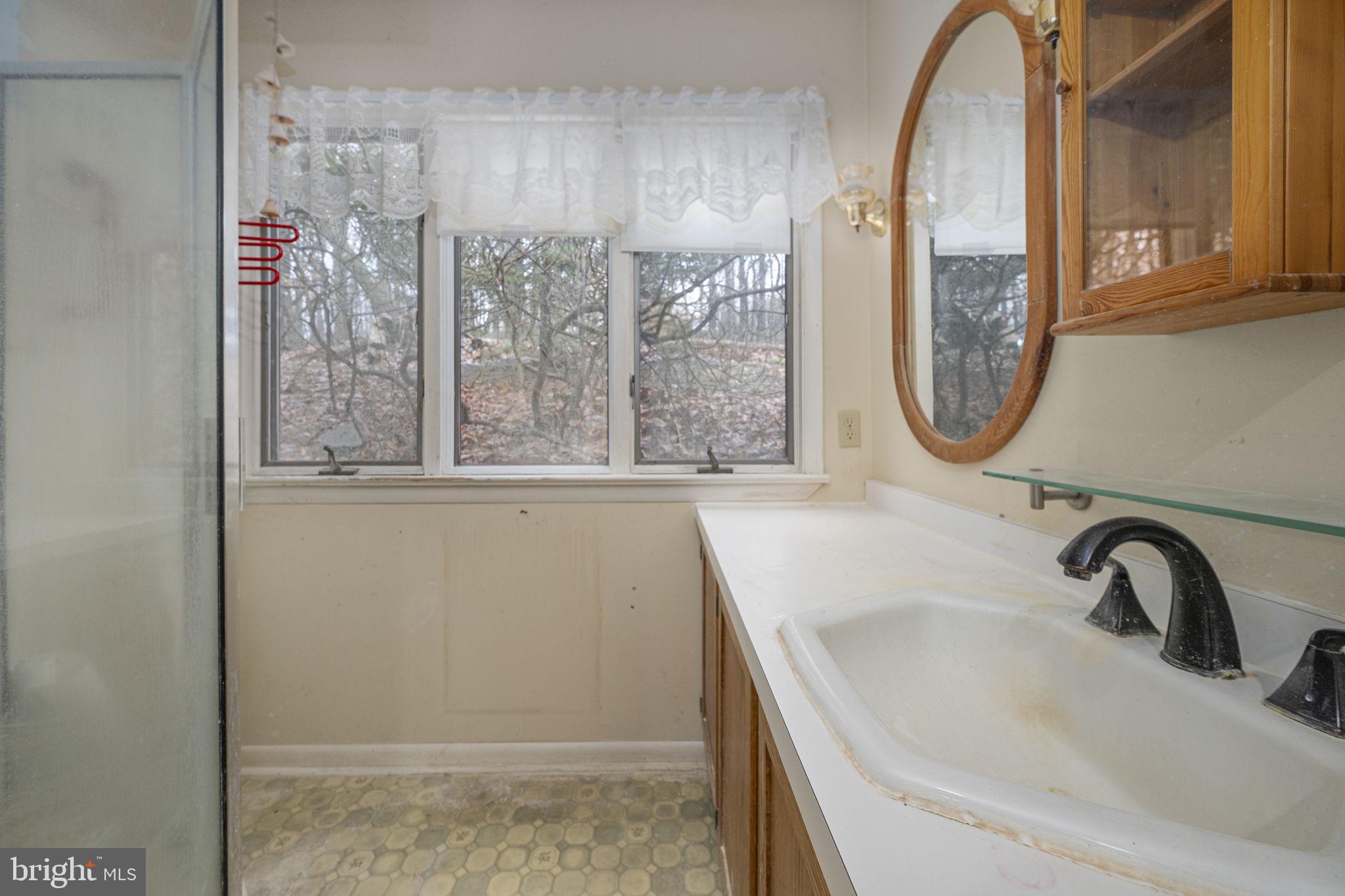 230 Jug Hollow Road Phoenixville, PA 19460 - Photo 19 of 60 a bathroom with a sink and a mirror