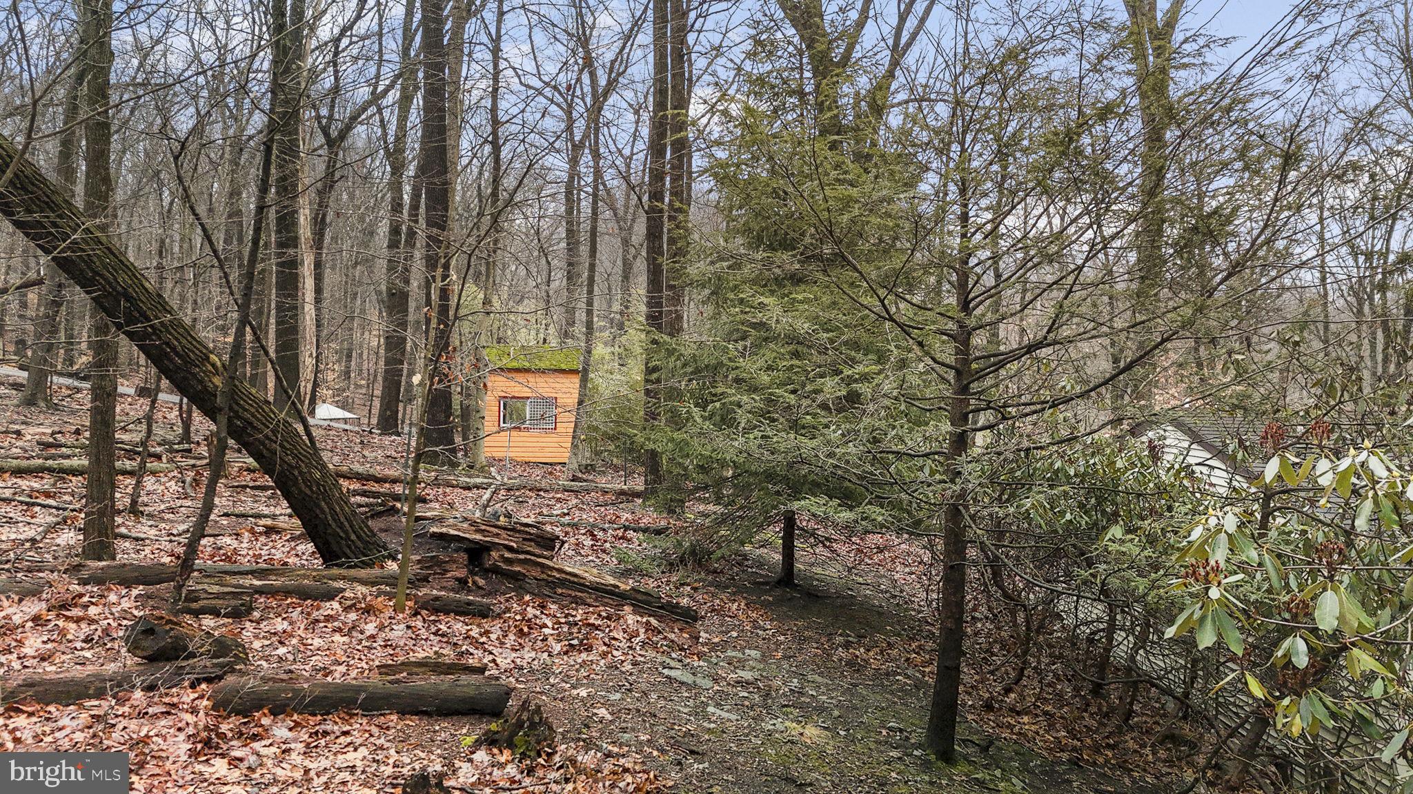 230 Jug Hollow Road Phoenixville, PA 19460 - Photo 26 of 60 a backyard of a house with lots of green space